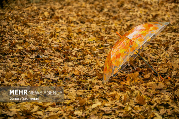 آخرین روزهای پاییز تهران