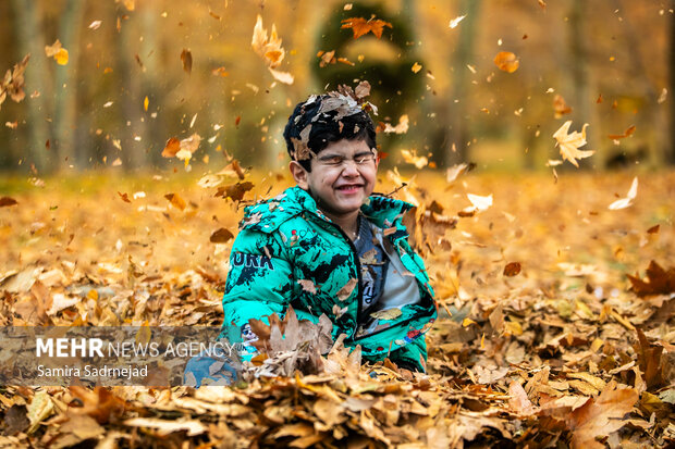 آخرین روزهای پاییز تهران