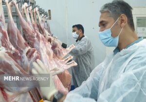 طرح ساماندهی کشتار دام در استان بوشهر اجرا شد