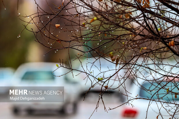 بارش باران پاییزی در یزد