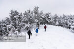 بارش ۵۵ سانتی متری برف در روستای علی کرمی دمچنار