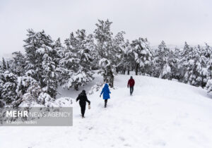 بارش ۵۵ سانتی متری برف در روستای علی کرمی دمچنار