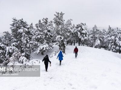 بارش ۵۵ سانتی متری برف در روستای علی کرمی دمچنار