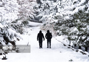 بارش برف در تفرجگاه پیر کدو شهرستان بوانات فارس