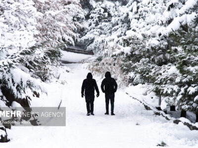 بارش برف در تفرجگاه پیر کدو شهرستان بوانات فارس
