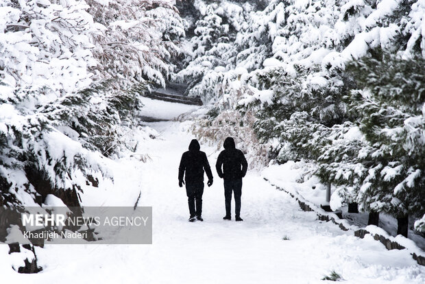 نخستین برف پاییزی در نصف جهان