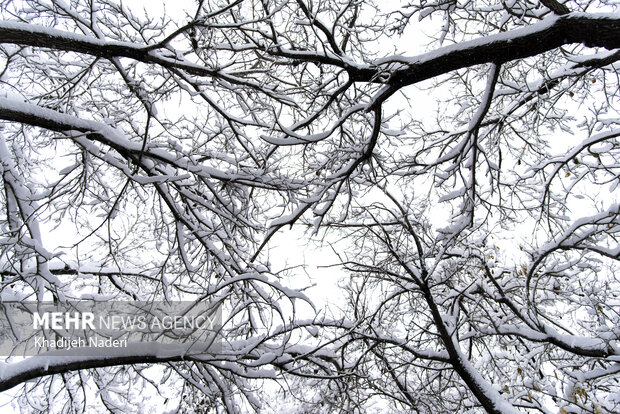 نخستین برف پاییزی در نصف جهان