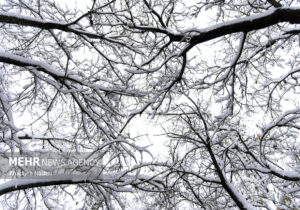 تعطیلی نوبت صبح مدارس سلفچگان، خلجستان و قاهان در روز شنبه ۲۹ آذرماه