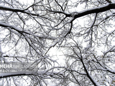 تعطیلی نوبت صبح مدارس سلفچگان، خلجستان و قاهان در روز شنبه ۲۹ آذرماه