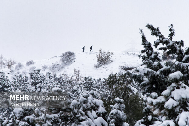 نخستین برف پاییزی در نصف جهان