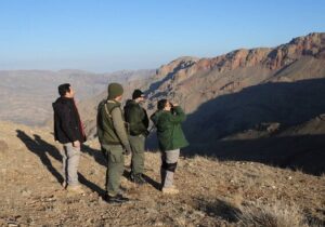 جباری: سرشماری حیات وحش منطقه حفاظت شده مراکان پایان یافت