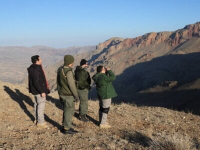 جباری: سرشماری حیات وحش منطقه حفاظت شده مراکان پایان یافت