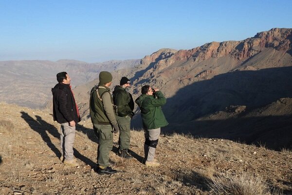 جباری: سرشماری حیات وحش منطقه حفاظت شده مراکان پایان یافت