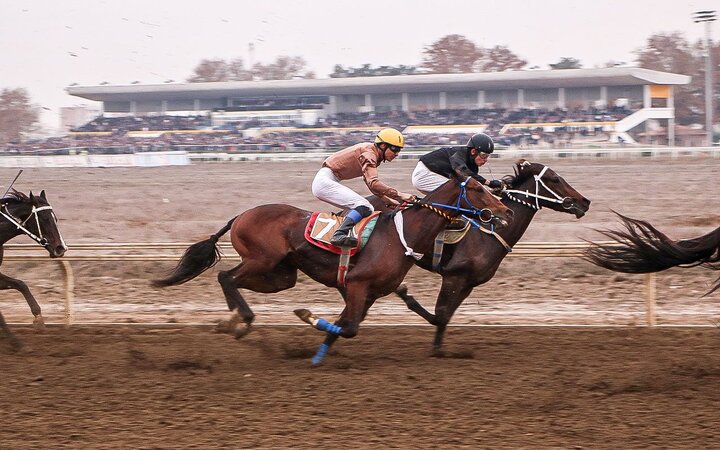 پایان هفته ششم کورس پاییزی گنبد با جوایز میلیاردی