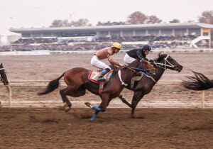 پایان هفته ششم کورس پاییزی گنبد با جوایز میلیاردی