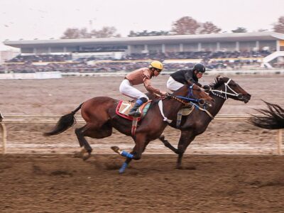 پایان هفته ششم کورس پاییزی گنبد با جوایز میلیاردی