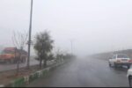هشدار مه صبحگاهی در محورهای استان بوشهر