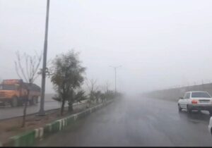 هشدار مه صبحگاهی در محورهای استان بوشهر