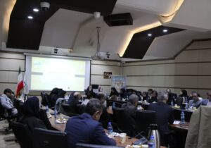 سروش: برنامههای جوانی جمعیت با شتاب دنبال شود