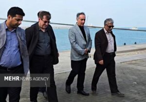 حسینی: کنترل دقیق نهاده‌های دامی پیش از ورود به چرخه تولید ضرورت دارد