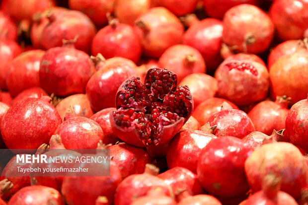 قاشق‌زنی تا دورهمی‌های بی‌تکلف؛ روایت آئین‌های قدیمی شب چله در قم