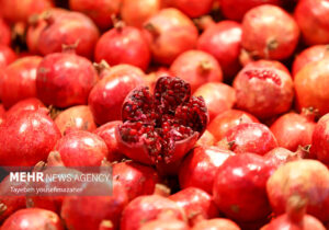 قاشق‌زنی تا دورهمی‌های بی‌تکلف؛ روایت آئین‌های قدیمی شب چله در قم