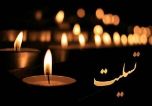 پیام تسلیت ابراهیم حیدری برای درگذشت اشرف بروجردی