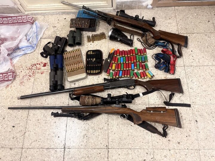 ۶ شکارچی متخلف در دامغان دستگیر شدند؛ توقیف لاشه ۲ گوسفند وحشی