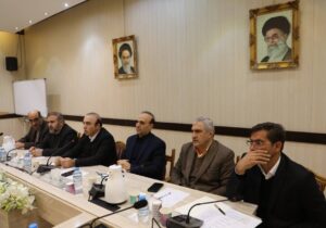 خلیلی: ذخیره نهاده‌های دامی باید دراستان اردبیل حفظ شود