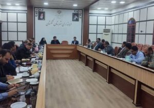 معاون فرماندار تنگستان: کمیته‌های ویژه پروژه‌های تأخیردار تشکیل می‌شود