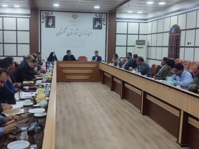 معاون فرماندار تنگستان: کمیته‌های ویژه پروژه‌های تأخیردار تشکیل می‌شود