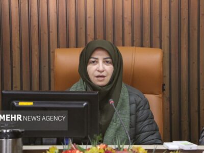 انصاری: ورامین با محدودیت منابع آب و خطر فرونشست روبه‌رو است