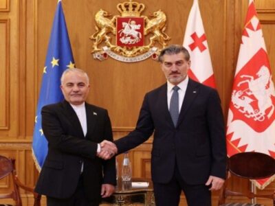 سفیر ایران در پایان ماموریت خود با رئیس‌جمهور گرجستان دیدار کرد