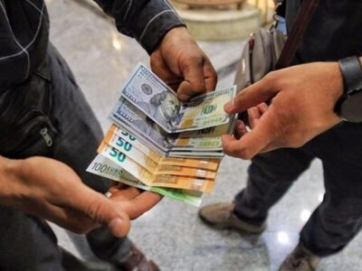 فشار سنگین کسری بودجه روی بازار ارز/ سیدعلی: وقتی تورم ۵۰ درصدی داریم، چند درصد می‌توانیم قیمت دلار را کنترل کنیم!؟