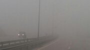 ببینید |   اراک در مه؛ کاهش شدید دید افقی در شهر