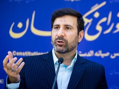 برگزاری انتخابات میاندورهای مجلس در ۵ حوزه/ طحان نظیف: تعیین اعضای هیات مرکزی نظارت بر انتخابات میان دوره ای مجلس خبرگان و مجلس شورای اسلامی