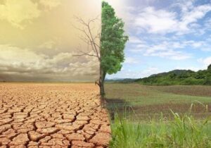 خاک آلوده درمان ندارد؛ هشدار صریح محیط زیست زنجان