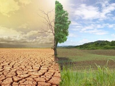 خاک آلوده درمان ندارد؛ هشدار صریح محیط زیست زنجان