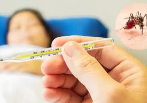 از ابتدای سال ۱۱۰۷ بیمار مبتلا به تب دنگی در کشور شناسایی شد/ صید پشه آئدس در ۱۱ استان