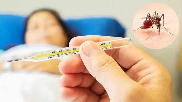 از ابتدای سال ۱۱۰۷ بیمار مبتلا به تب دنگی در کشور شناسایی شد/ صید پشه آئدس در ۱۱ استان از ابتدای سال ۱۱۰۷ بیمار مبتلا به تب دنگی در کشور شناسایی شد/ صید پشه آئدس در ۱۱ استان