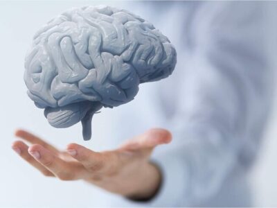 تقویت عملکرد مغز با مصرف این میوهها