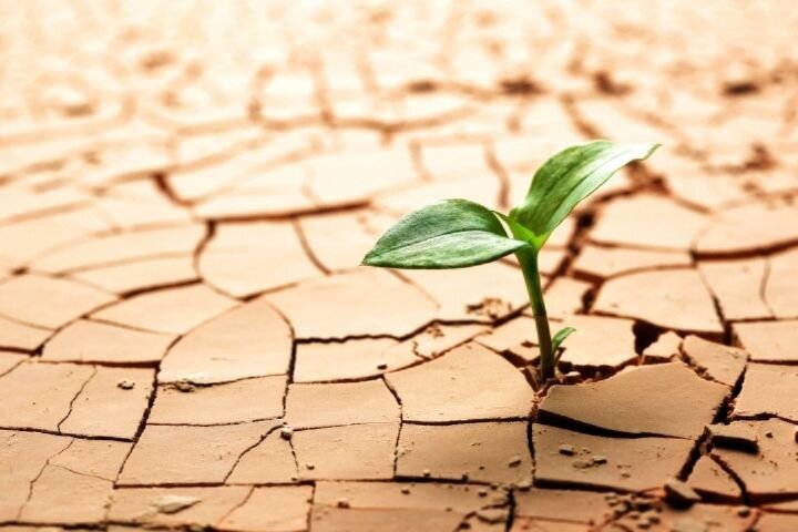 خشکسالی و فرونشست؛ دو عامل همافزا در بحران لرزهای تهران/ بحران پمپاژ آب، احتمال زلزله بزرگ را افزایش میدهد/ خطرناکترین گسل ایران کجاست؟