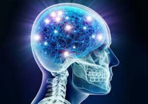 مصرف این غذاها به مغز آسیب میرساند