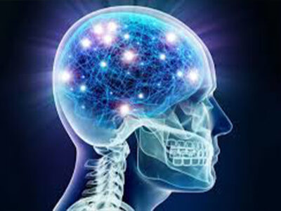 مصرف این غذاها به مغز آسیب میرساند