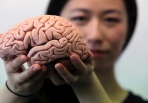 چه کنیم مغزمان جوان بماند؟