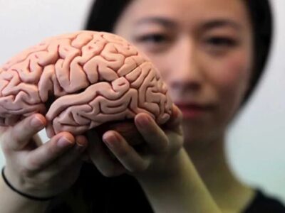 چه کنیم مغزمان جوان بماند؟