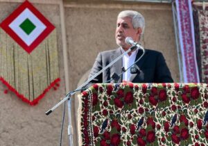 فرماندهی انتظامی جنوب استان کرمان از دهه فجر آغاز به کار خواهد کرد