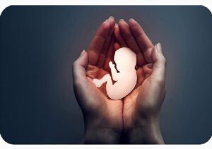 آمار سقط جنین در کشور ۳۰ برابر تلفات تصادف!