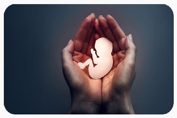 آمار سقط جنین در کشور ۳۰ برابر تلفات تصادف! آمار سقط جنین در کشور ۳۰ برابر تلفات تصادف!