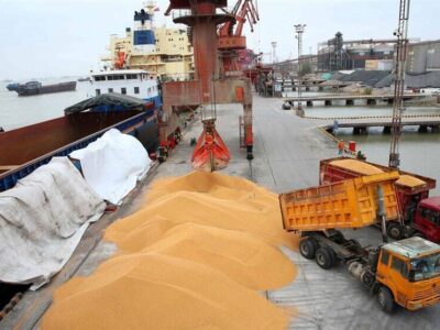 ترخیص روزانه نهاده‌های دامی از گمرک/ وزیر جهادکشاورزی: هیچ نگرانی در تامین نهاده وجود ندارد